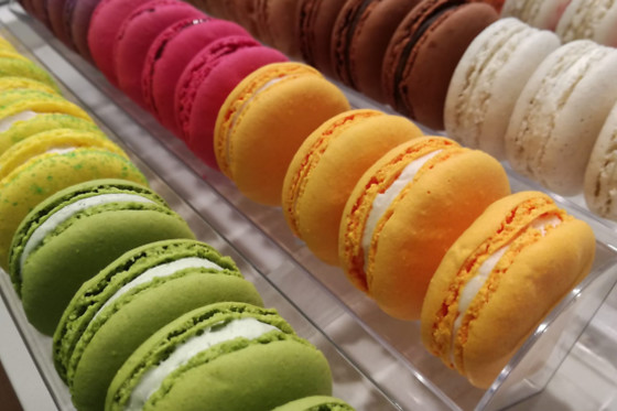 L'Alchimie du Chocolat - photo 3