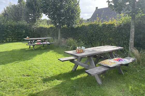 In de 7e hemel - Pluk en theetuin & vakantieverblijven - photo 1