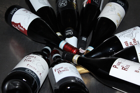 iDivini - photo 1