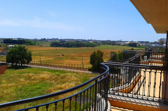 Hotel Cortese - photo 2