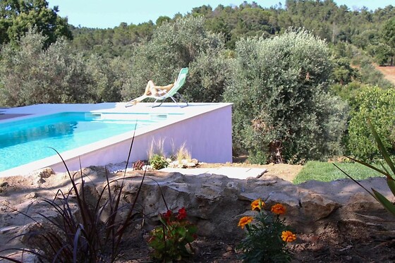 LAMEIRA DA LONGRA - photo 7