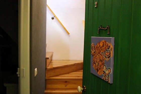 LAMEIRA DA LONGRA - photo 10