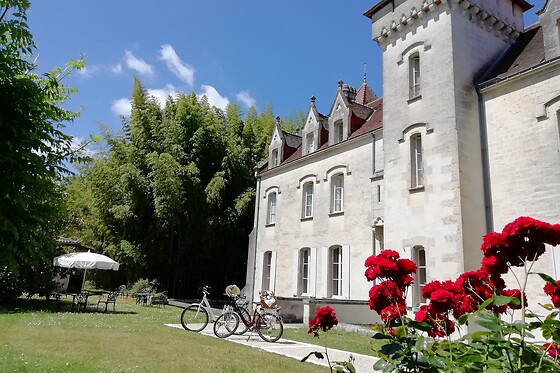 Château des salles - photo 0