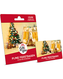 Fijne Feestdagen