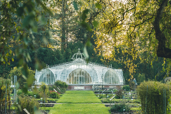 Plantentuin Meise - photo 0