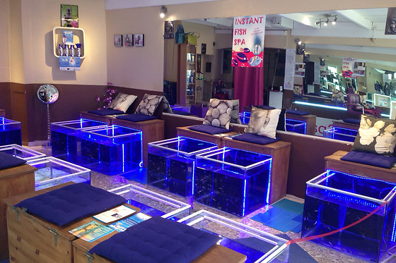 Instant Fish Spa - photo 0