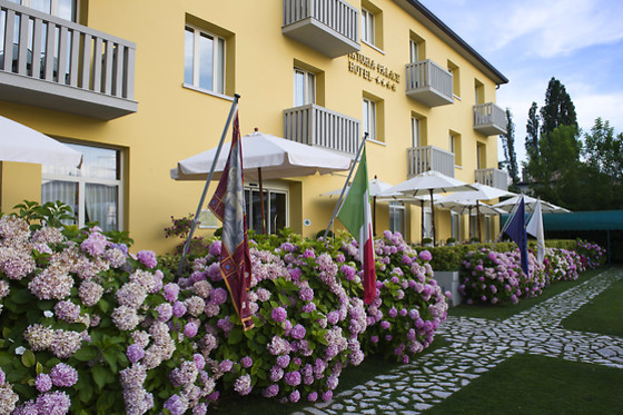 Viktoria Palace Hotel - photo 7