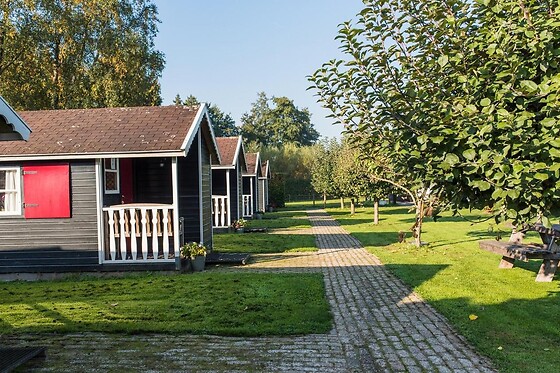 Dromen bij de Boer - photo 3