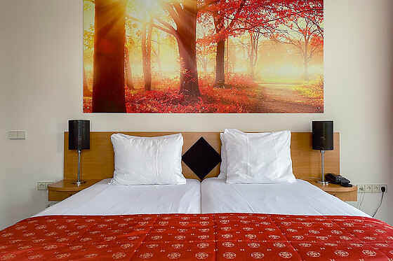 Hotel Hof van Gelre By Flow - photo 7