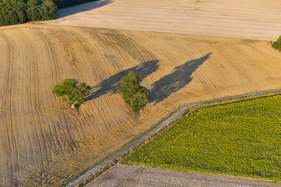 Art Montgolfières - photo 14
