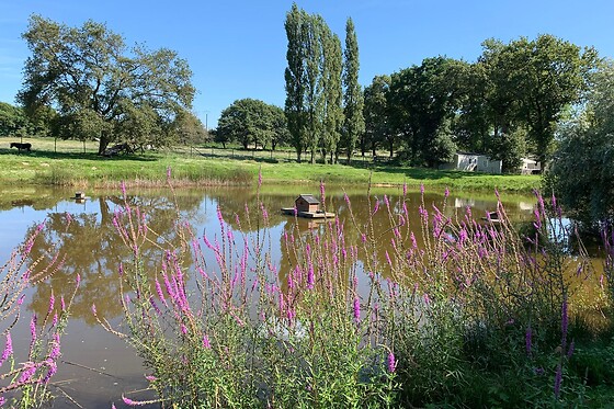 Camping de l'Etang du Pays Blanc - photo 8