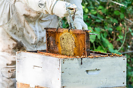 Prieuré Saint Barthélémy