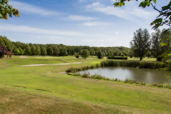 Ugolf Metz Cherisey - photo 1