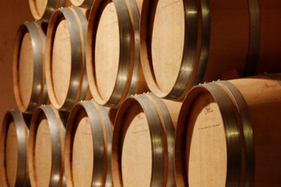 BODEGA LAS VIRTUDES - photo 2