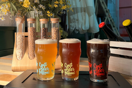 THE ONE BEER - photo 2