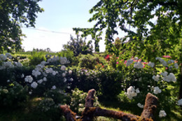 B&B Villa Albertina