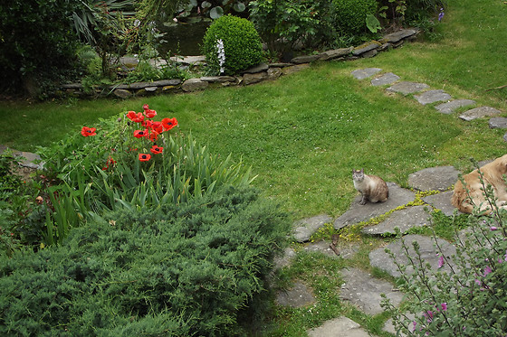 Le Clos du Tay - photo 9