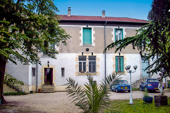 Le parc aux cèdres - photo 0