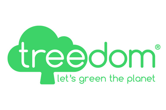 Treedome - photo 0