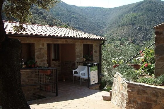 LAS CASITAS DEL BODEGÓN - photo 2