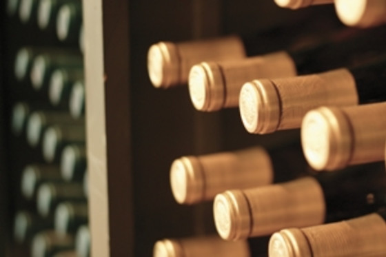Nicolaus - photo 0