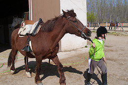 CENTRO ECUESTRE LOS CABALLOS DE LA RIBERA