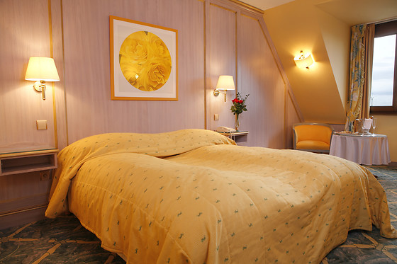 Hôtel l'Europe - photo 6