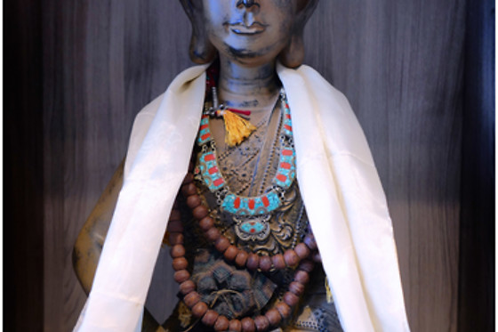 Ben Chi - photo 7