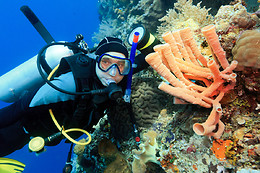 SCUBA PLUS