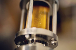 No Science Brasserie