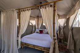 EL TORIL