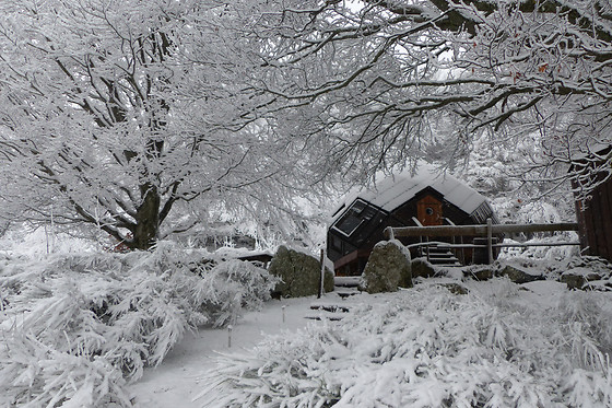 Chalet des 2 Roches - photo 5