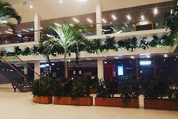 Brasserie la Plaza