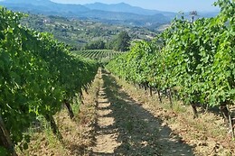 Aminea_winery