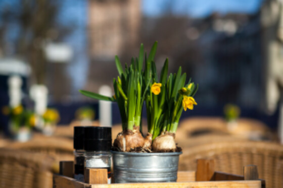 Stads-Koffyhuis - photo 4
