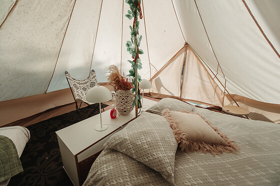 De Witte Merel & Hotel at home - photo 8