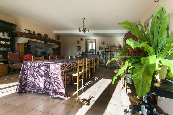 Domaine de la Trille - photo 9