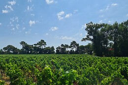Château Enclos Haut Mazeyres