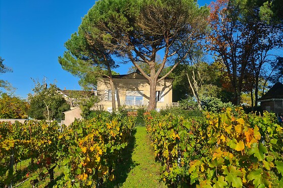 Château Enclos Haut Mazeyres - photo 0