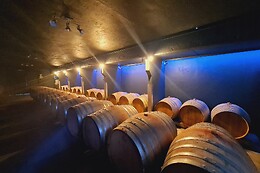 Château Enclos Haut Mazeyres