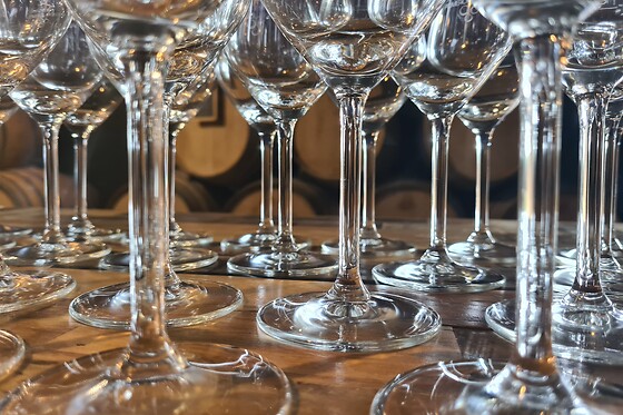 Château Enclos Haut Mazeyres - photo 5