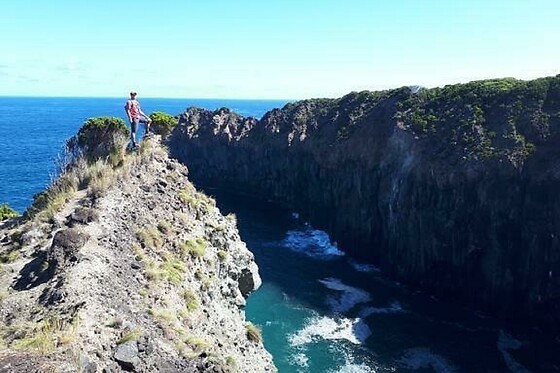 Azores Nature Tours - photo 28