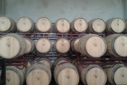 BODEGA VILLA D'ORTA