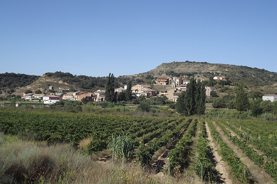 BODEGA VILLA D'ORTA - photo 1