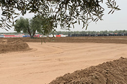 RODDEN RALLY SCHOOL