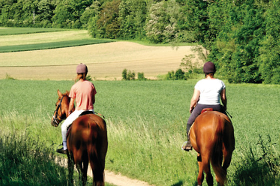 Un Poney, une histoire - photo 5