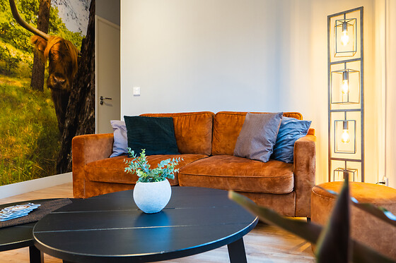 De Zwammenberg - photo 9
