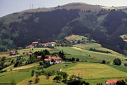 TOLARE BERRI