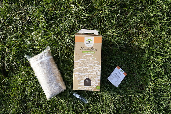 PermaFungi - photo 2