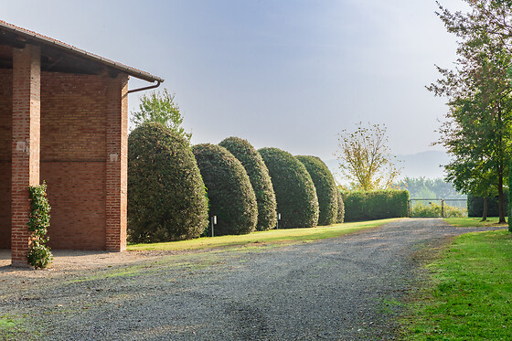 AvoRooms - photo 10